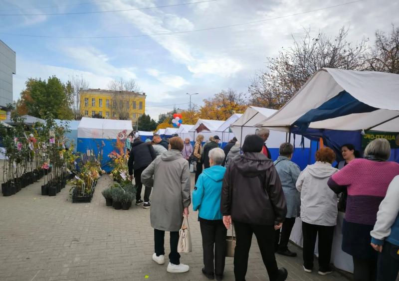 Ярмарка выходного дня заработала у бывшего кинотеатра «Ока» в Рязани